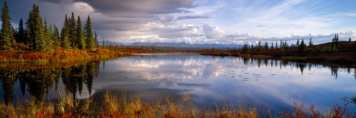 Beaver Pond Reflection, Denali