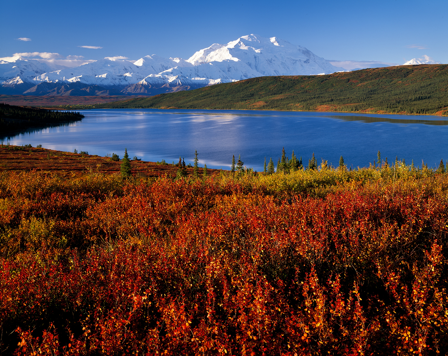 Blueberry Fall, Wonder Lake, Denali