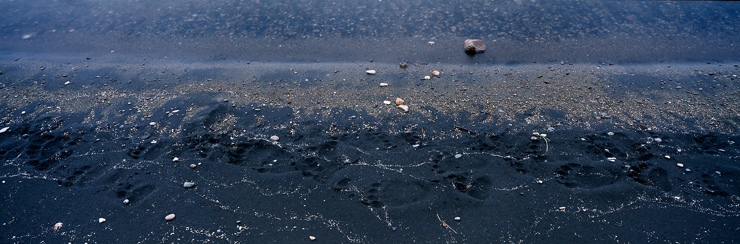 Lakeside Grizzly Tracks, Katmai, Alaska