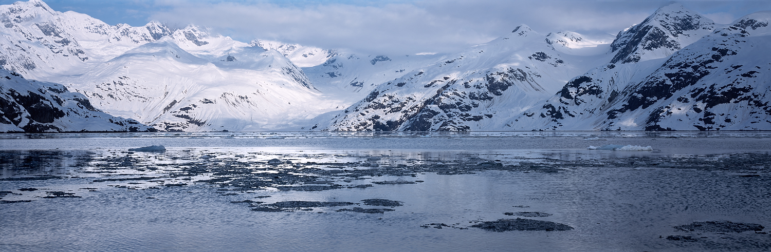 Johns Hopkins Inlet Panorama, Glacier Bay, Alaska