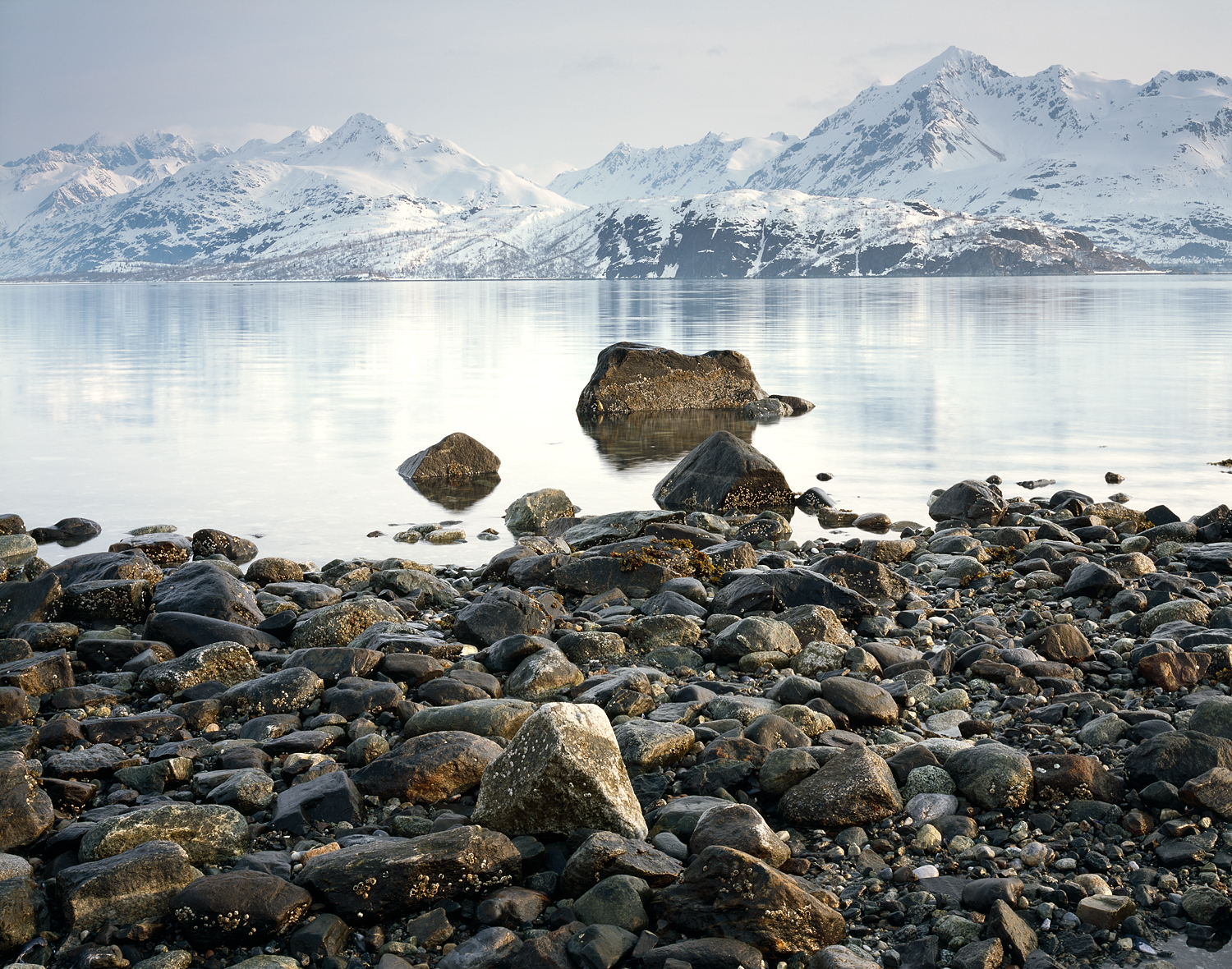 Rocky Shoreline, Glacier Bay Reflection, Alaska