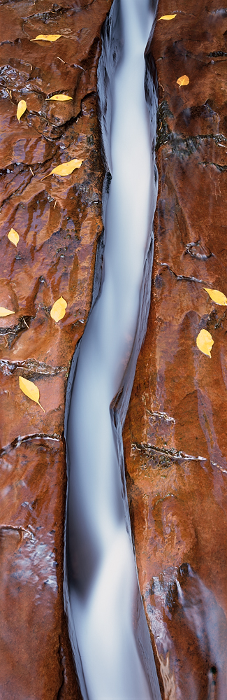 Earth's Blood, Zion National Park, Utah