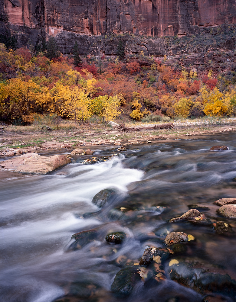 Virgin River and Color, Zion National Park, Utah