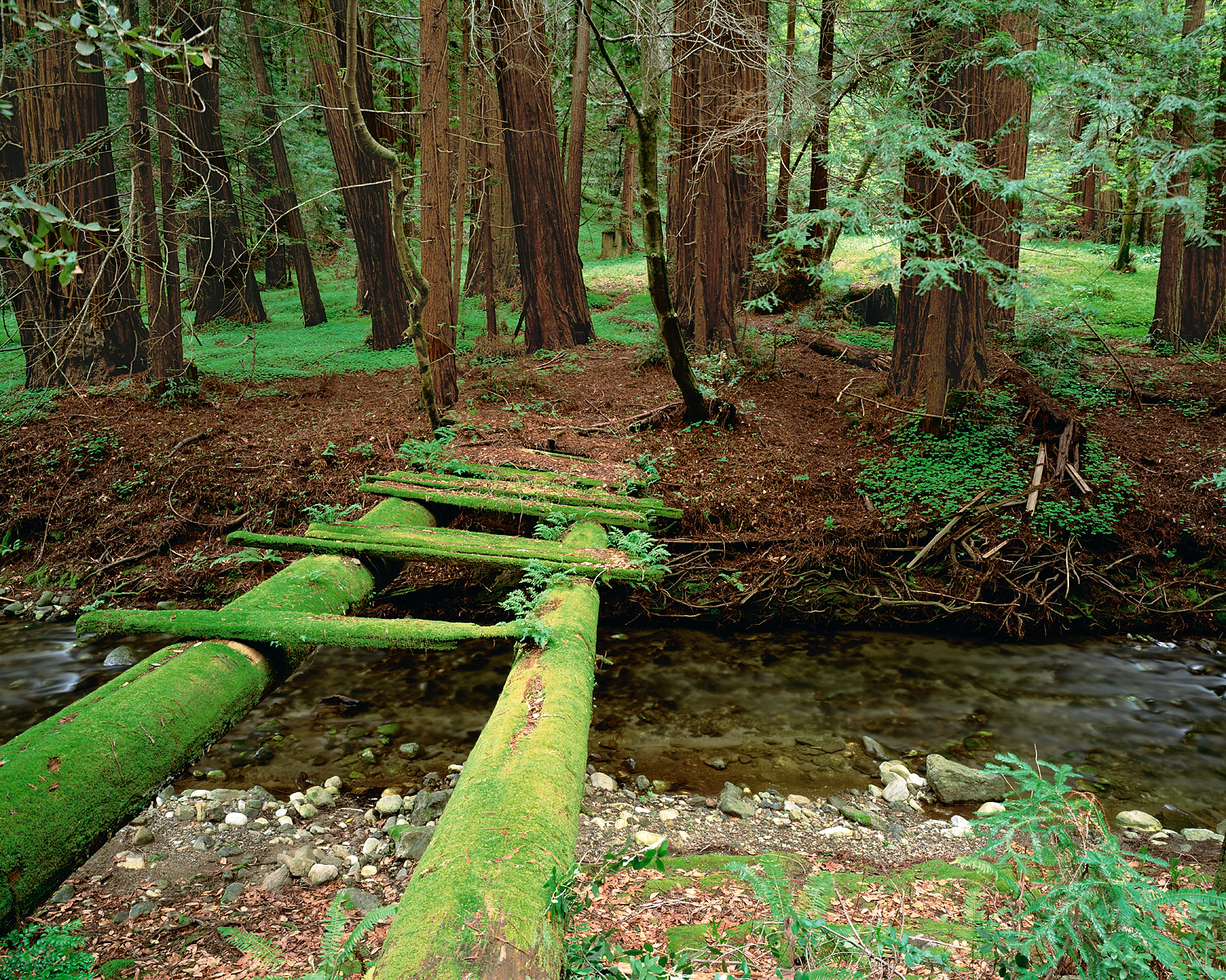 Mossy Bridge, Big Sur, California