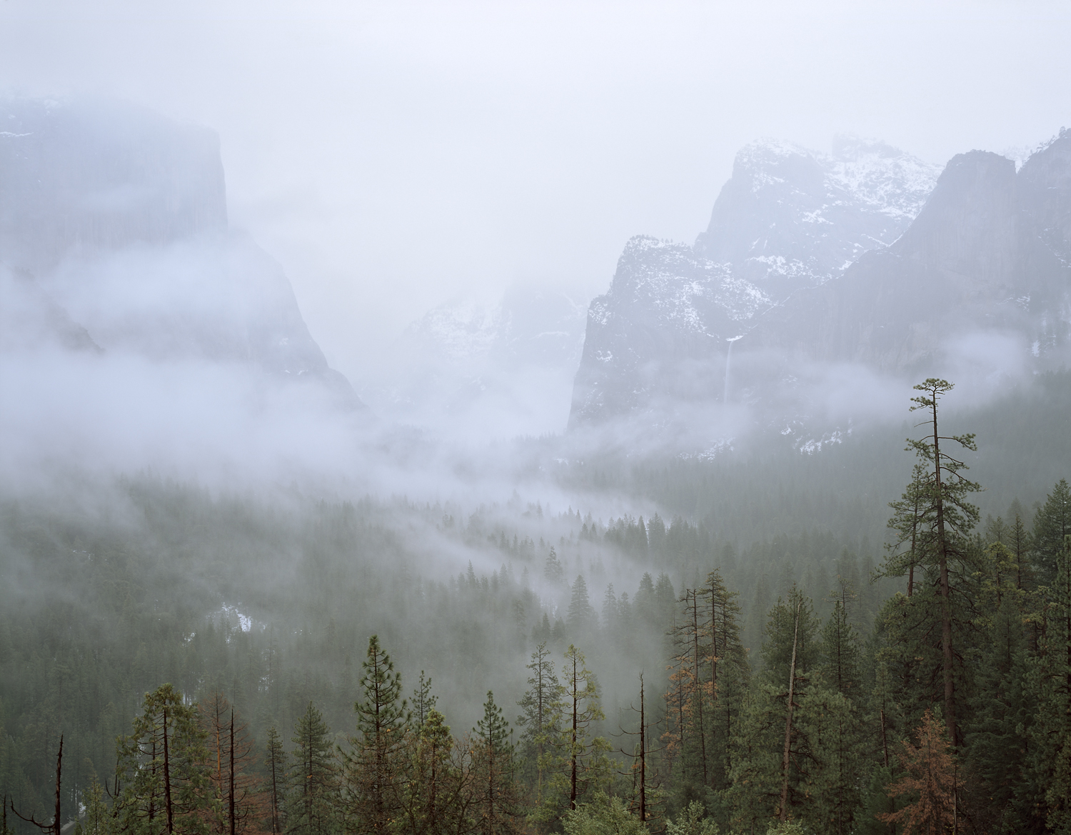 Winter Mist, Yosemite Valley, California