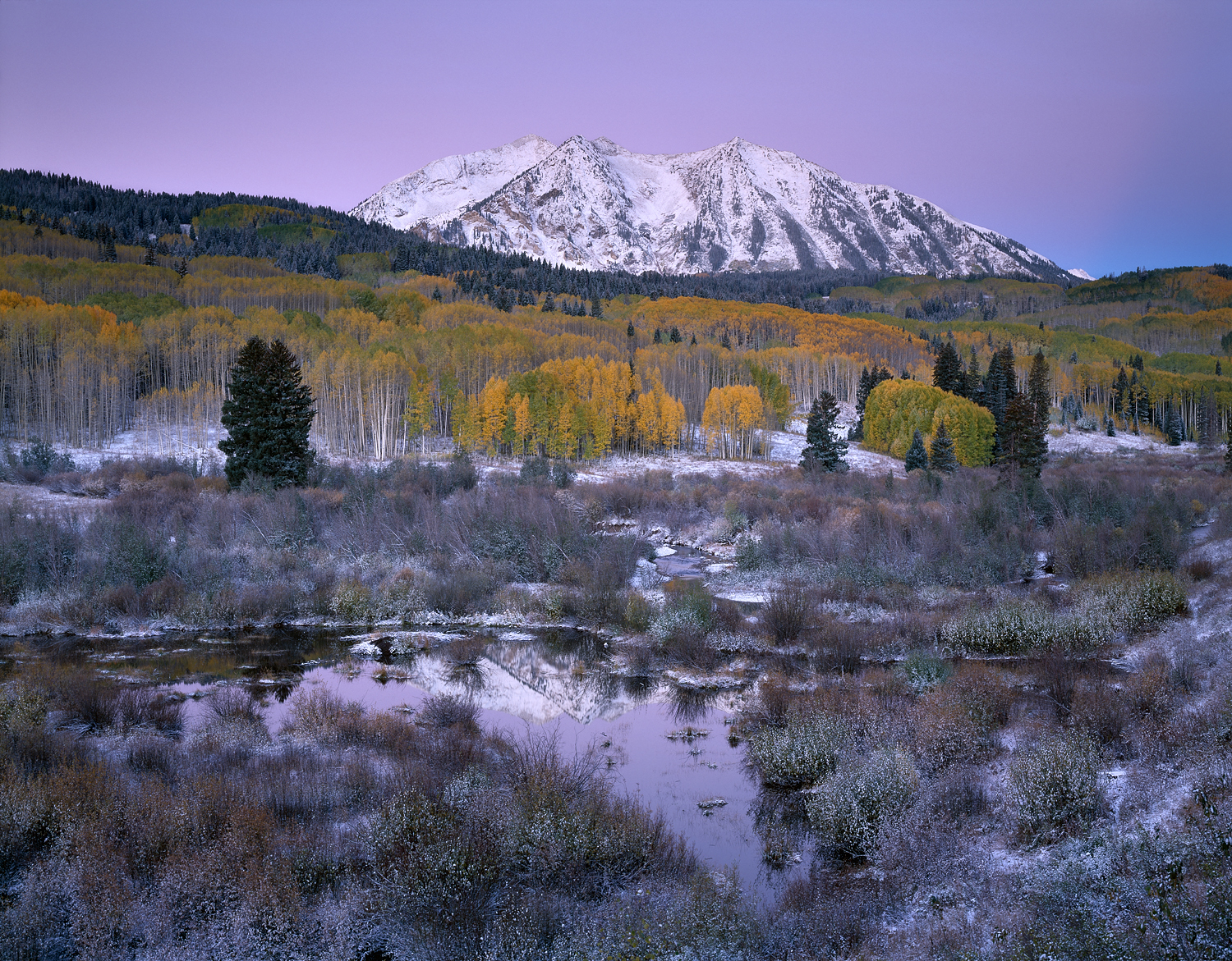 Autumn Morning, Independence Pass, Colorado