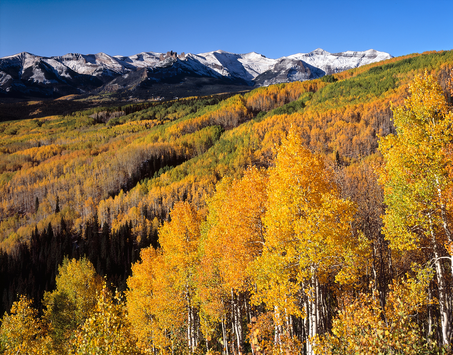 Colorado Fall Trees and Mountains