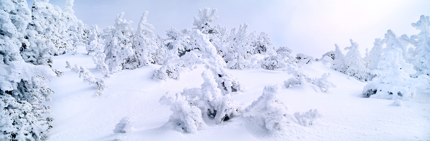 Snow Sculpture Panorama