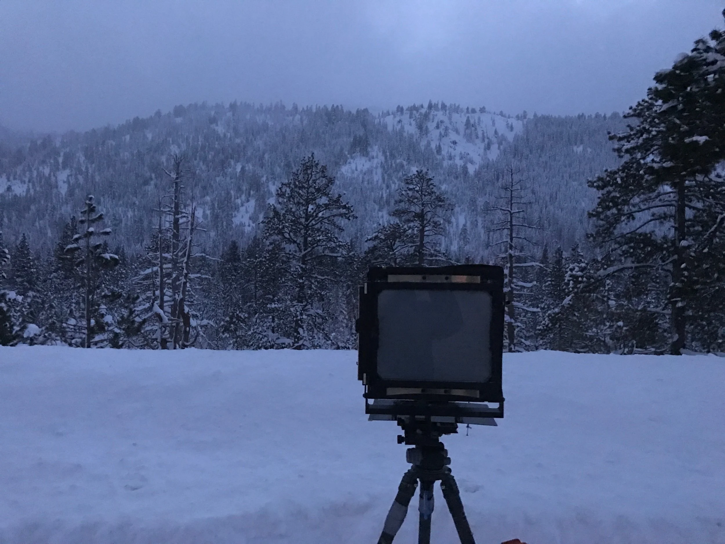 iphone image of my 8x10 film camera after shooting the final image above.