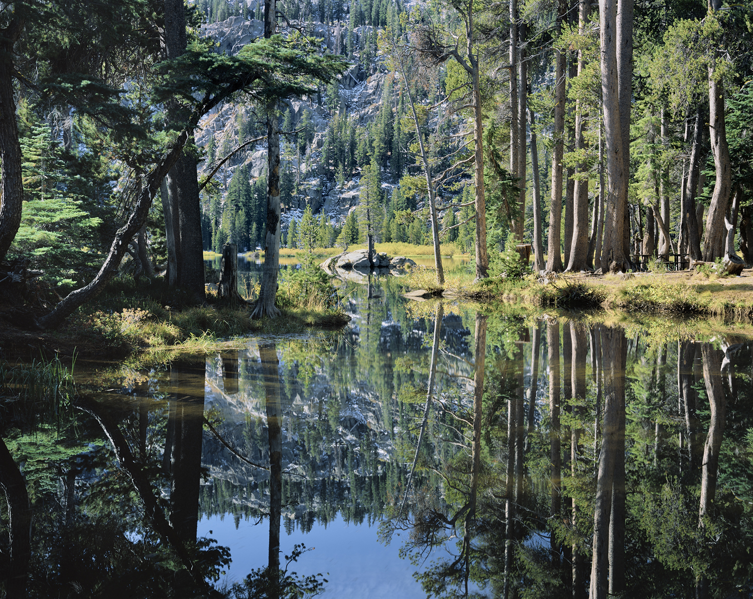 Window to Woods Lake, Forest Reflection