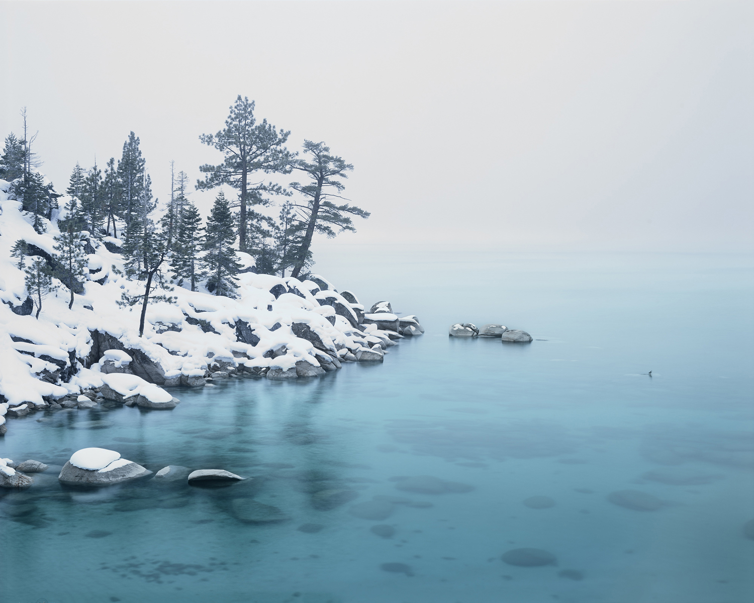 Clarity & Fog, Lake Tahoe