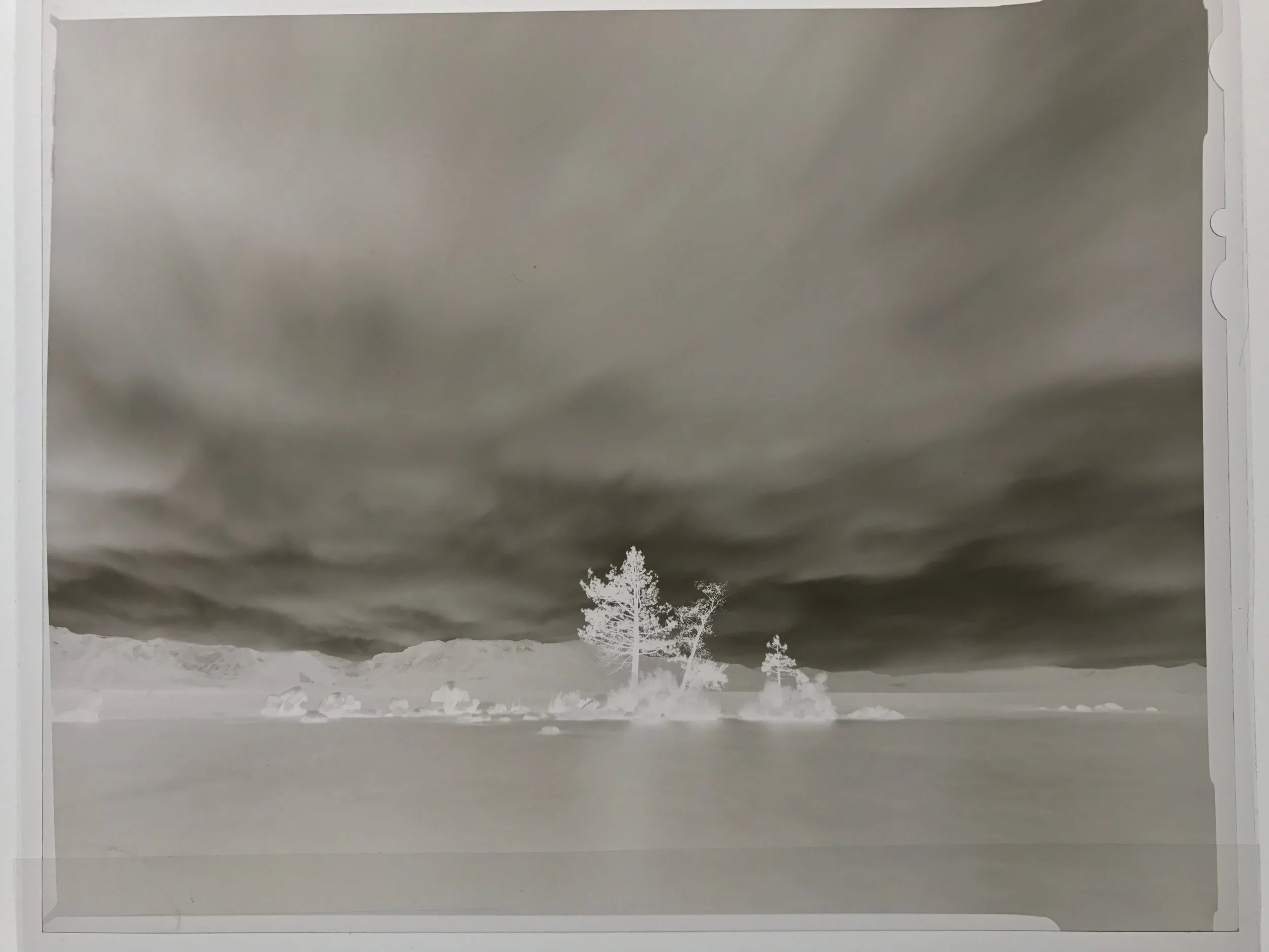 The Original Black and White Negative, Ilford FP4 4x5 inch (photographed with my iphone on the light table)