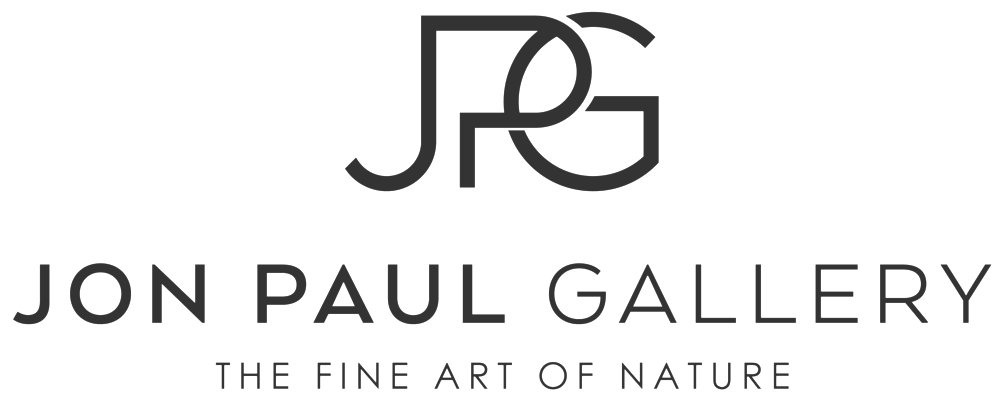 Jon Paul Gallery