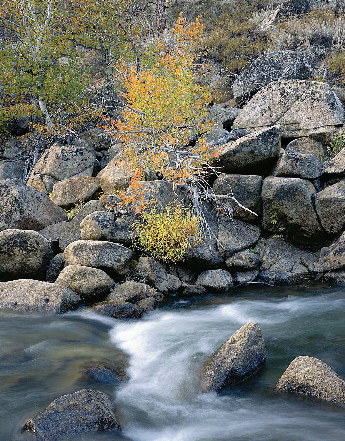 Fall, On the Rocks, Carson River