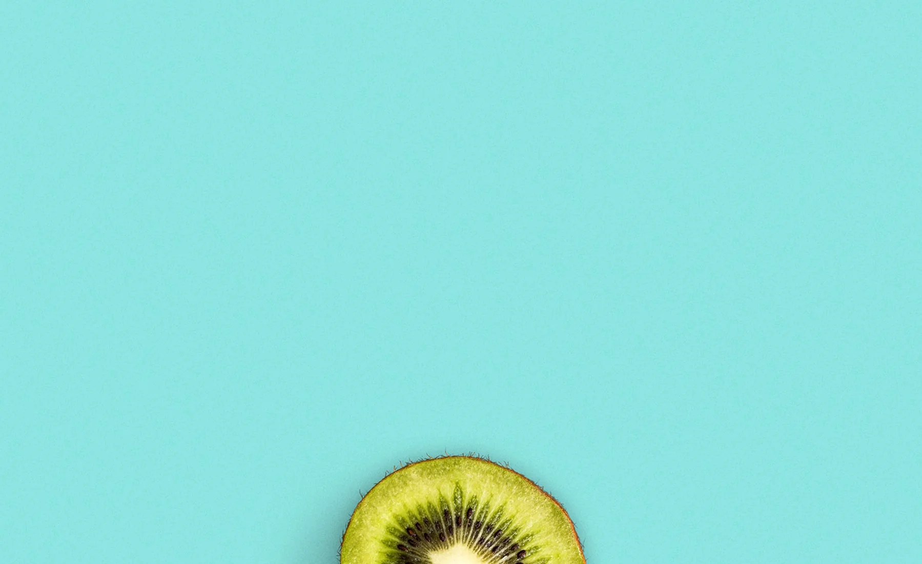 Kiwi+Background+img+TOFM.jpg