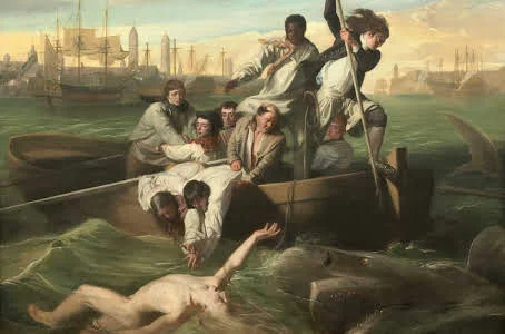 watson and the shark.jpeg