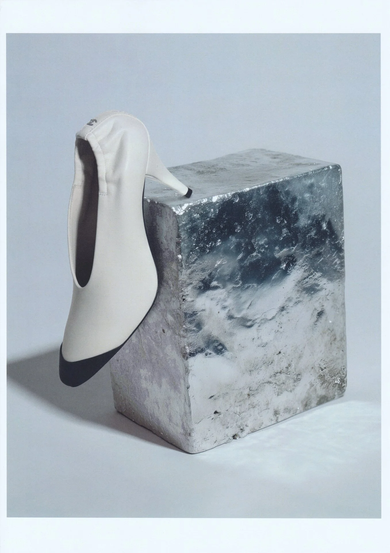 chanel_shoe copy.jpeg