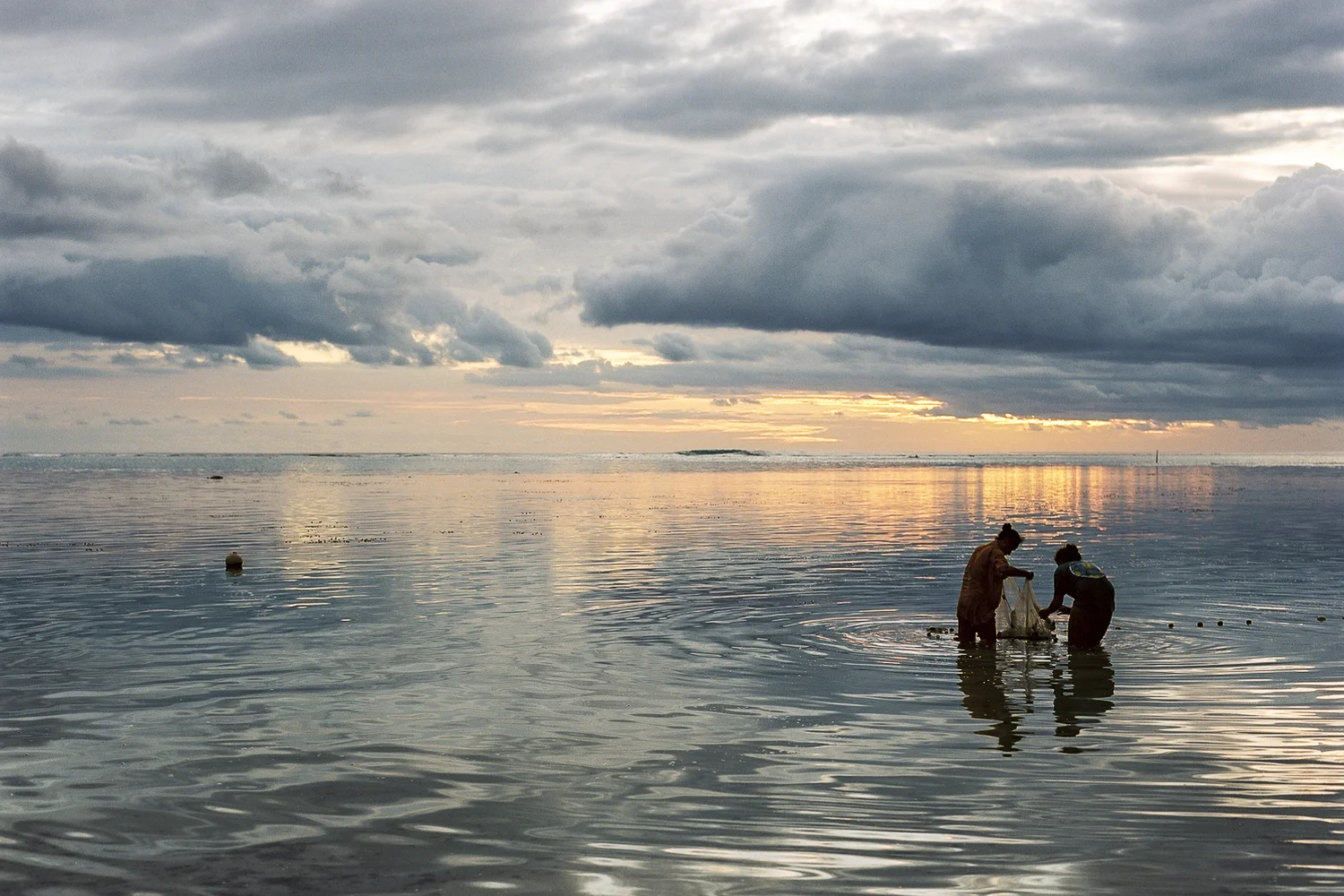 Photo by David Cicconi