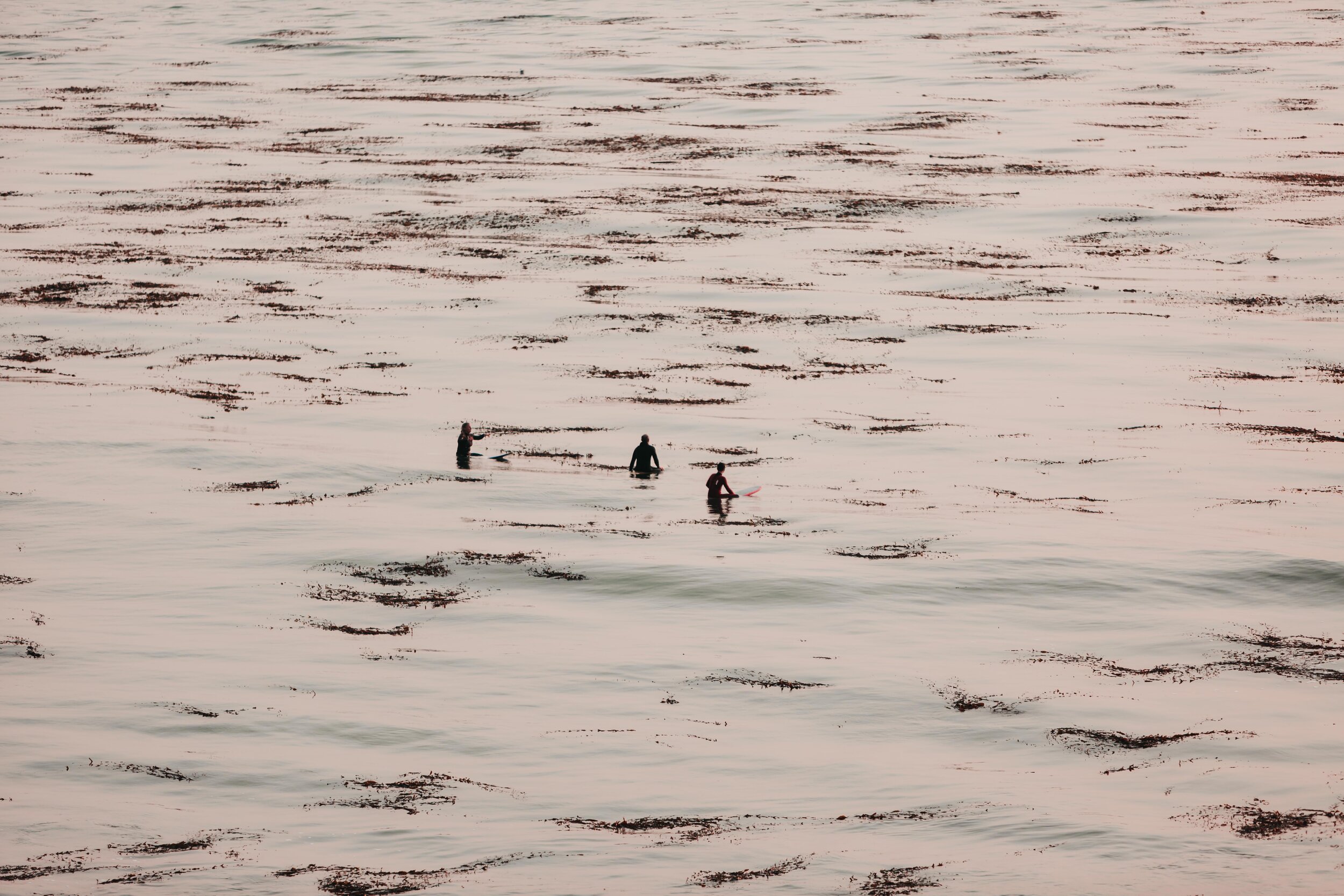 Surfers