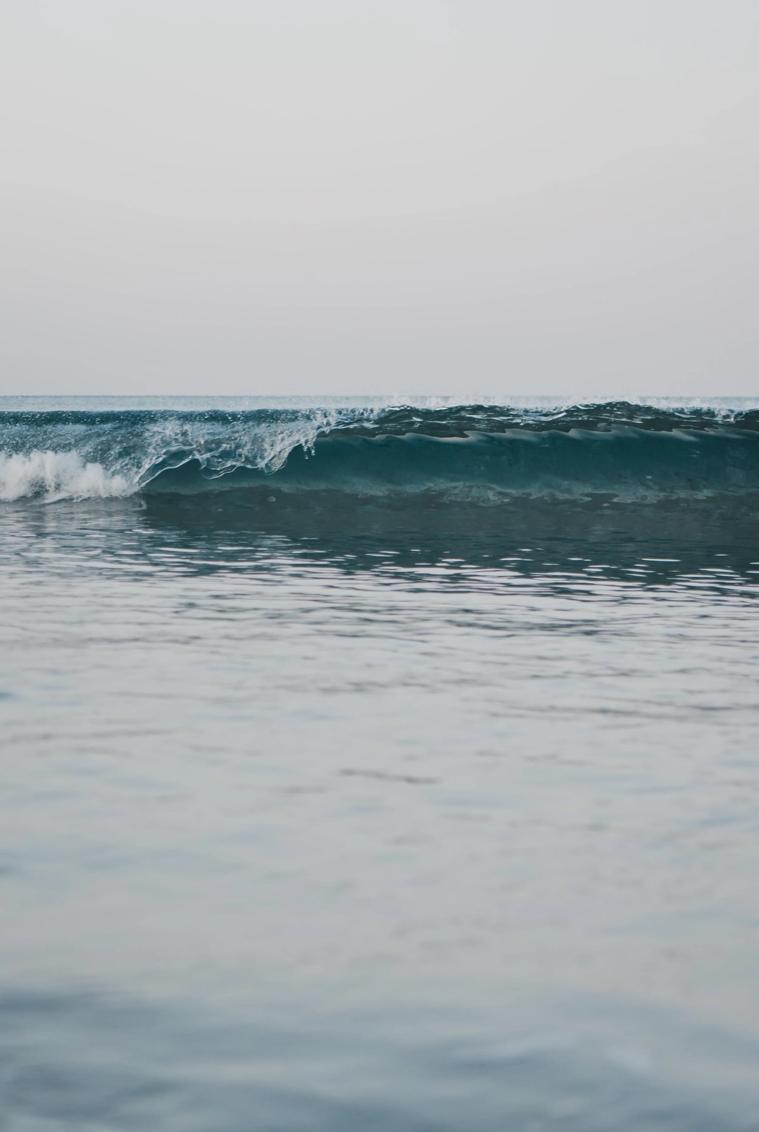 Wave