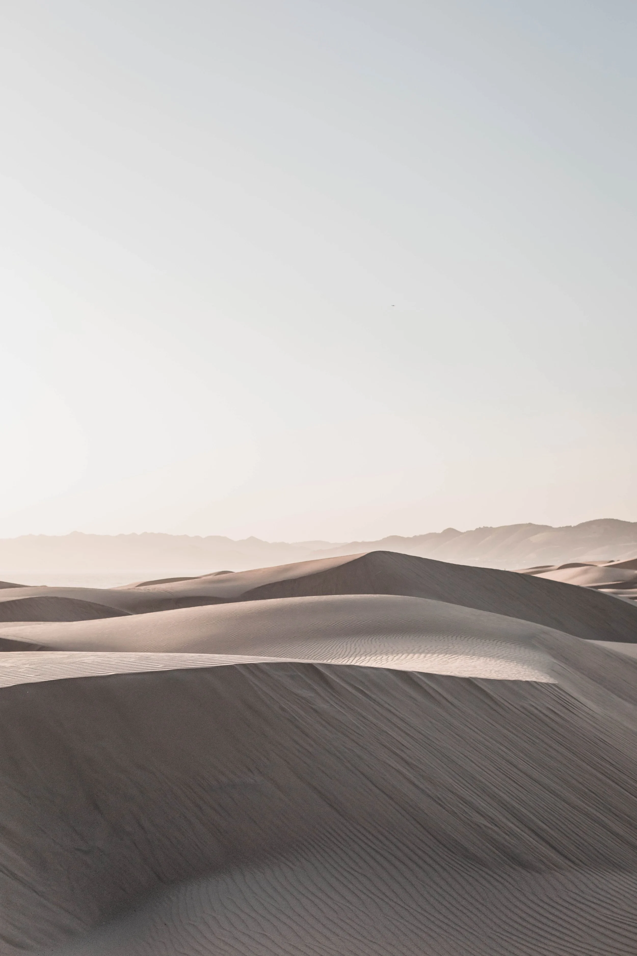 Pismo beach dunes