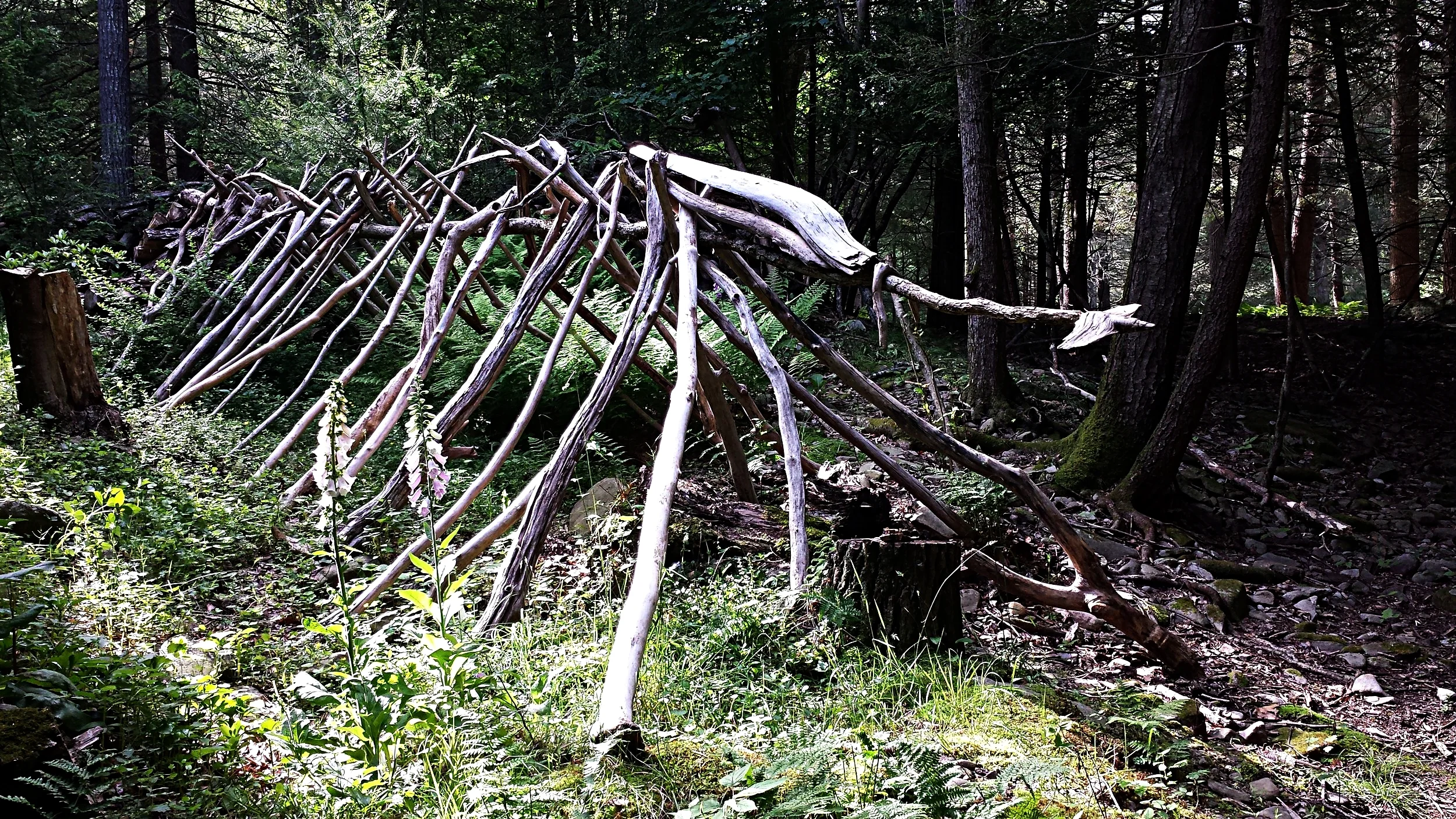 site3.jpg