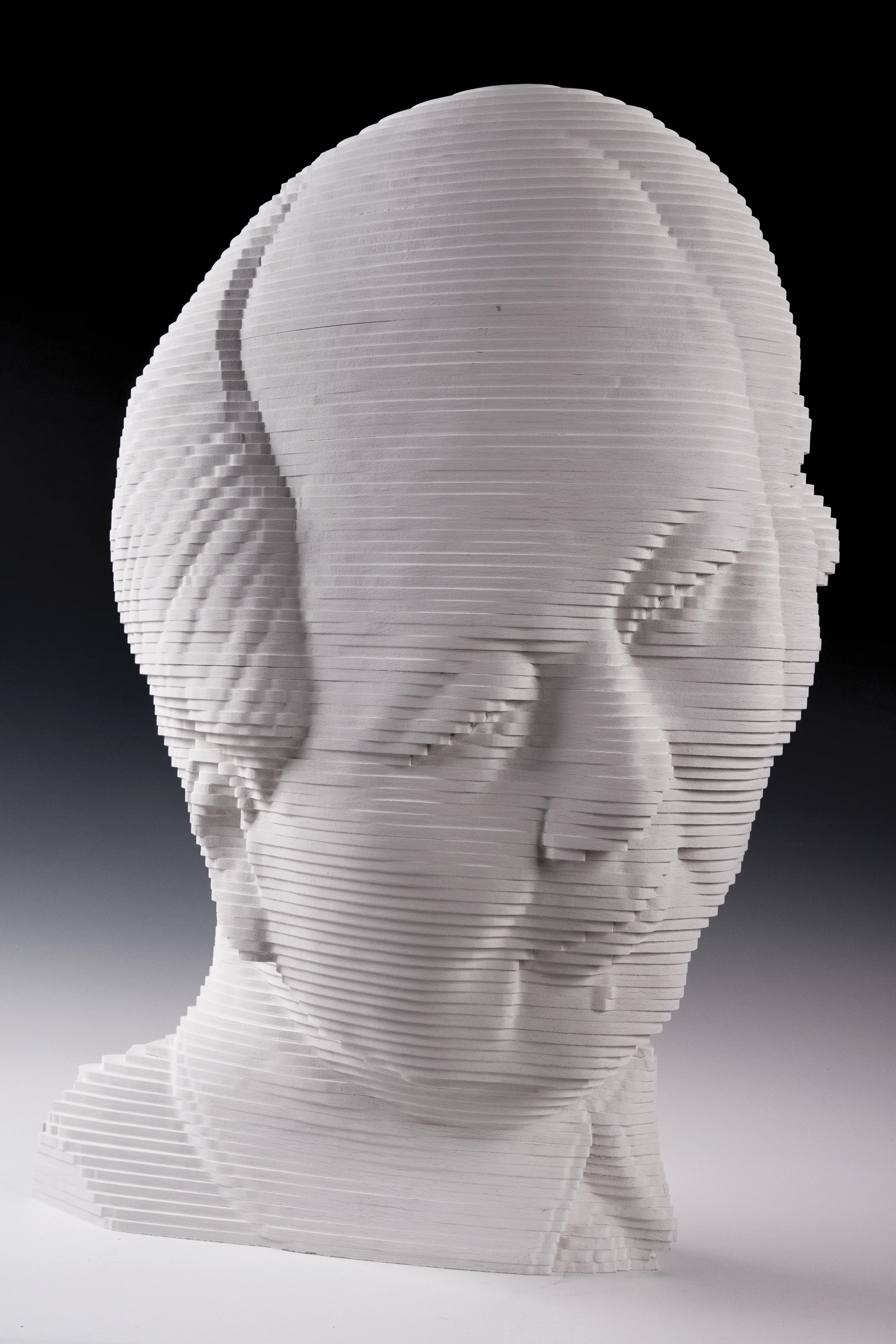 Rob Neilson, Make it with Anyone Anyhow , MDF and milk paint, 24” x 16” x 11”, 2017