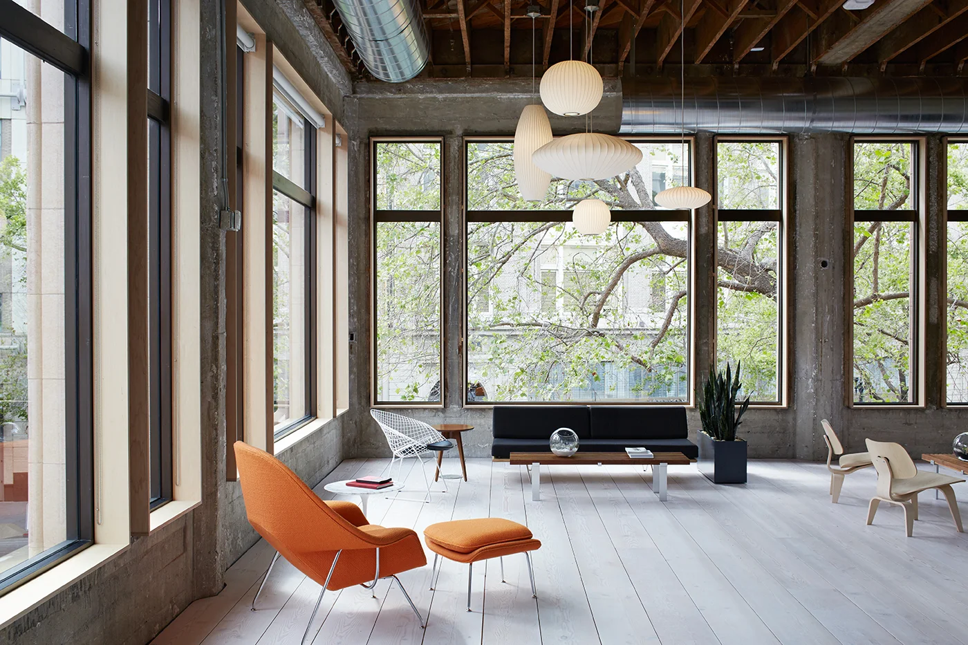 VSCO_OAK_07.jpg