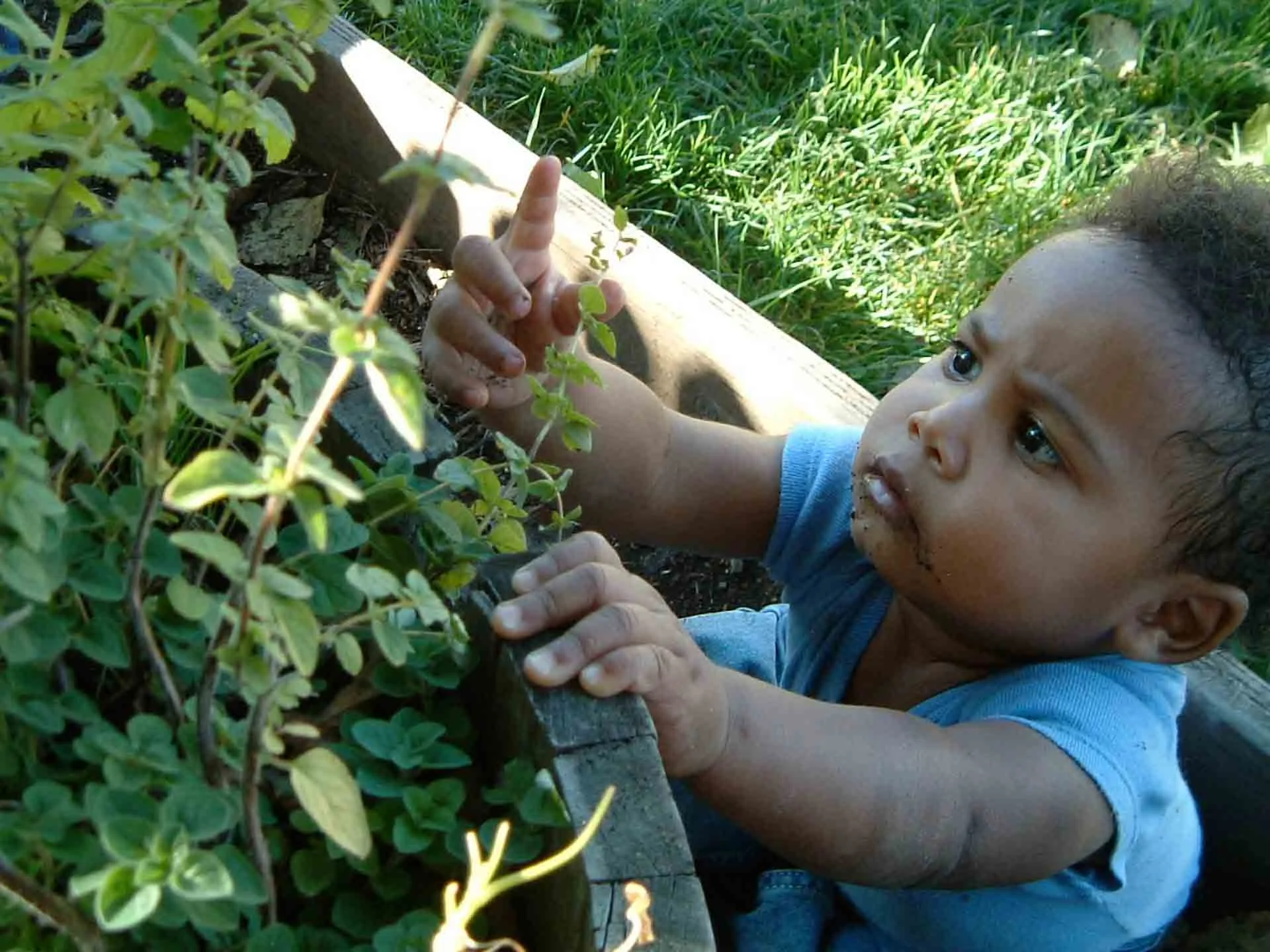 Home Pg_Come Grow With Us.JPG