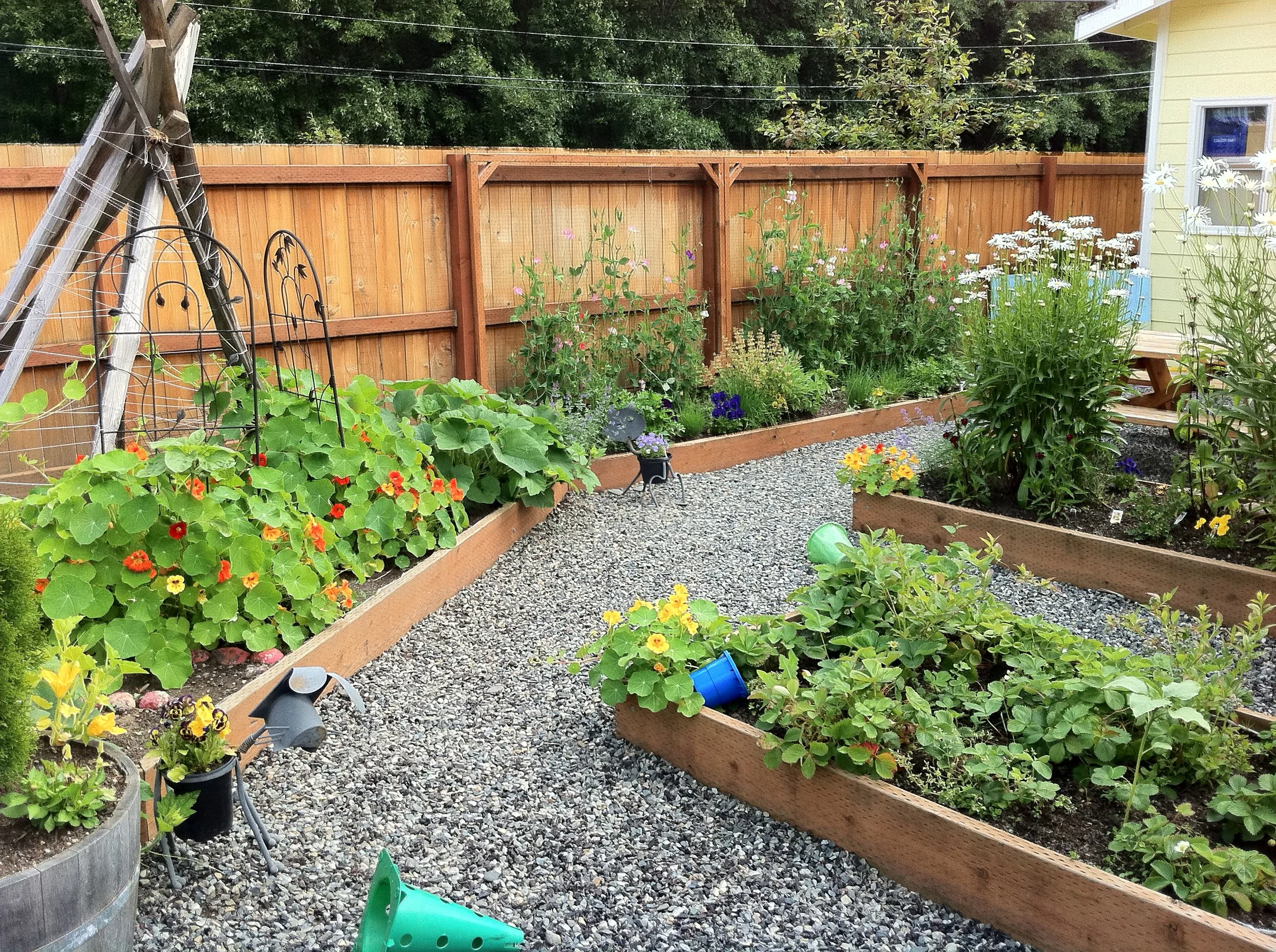 One of two preschool courtyards in bloom