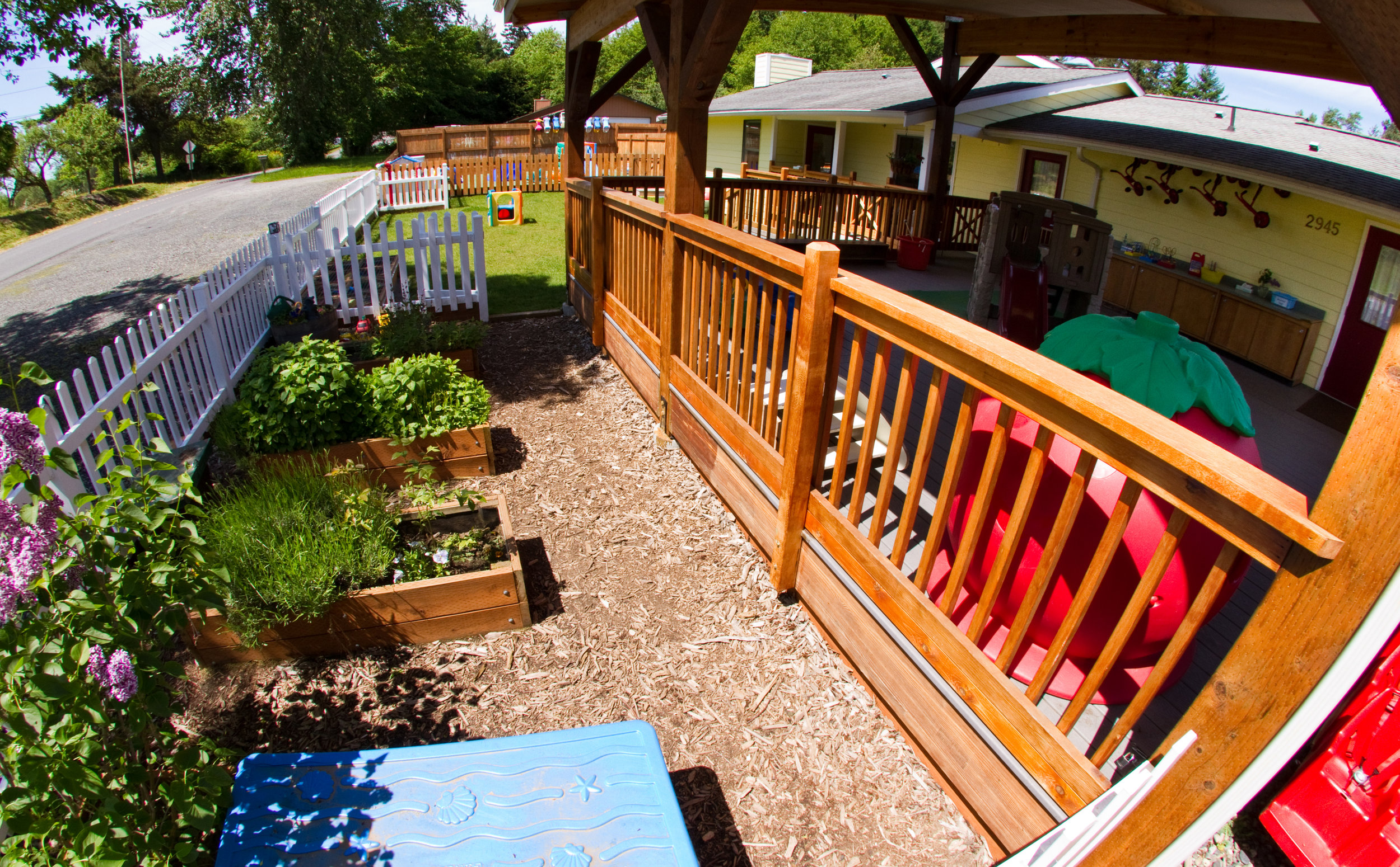 Toddlers — Blossom Childcare and Learning Center