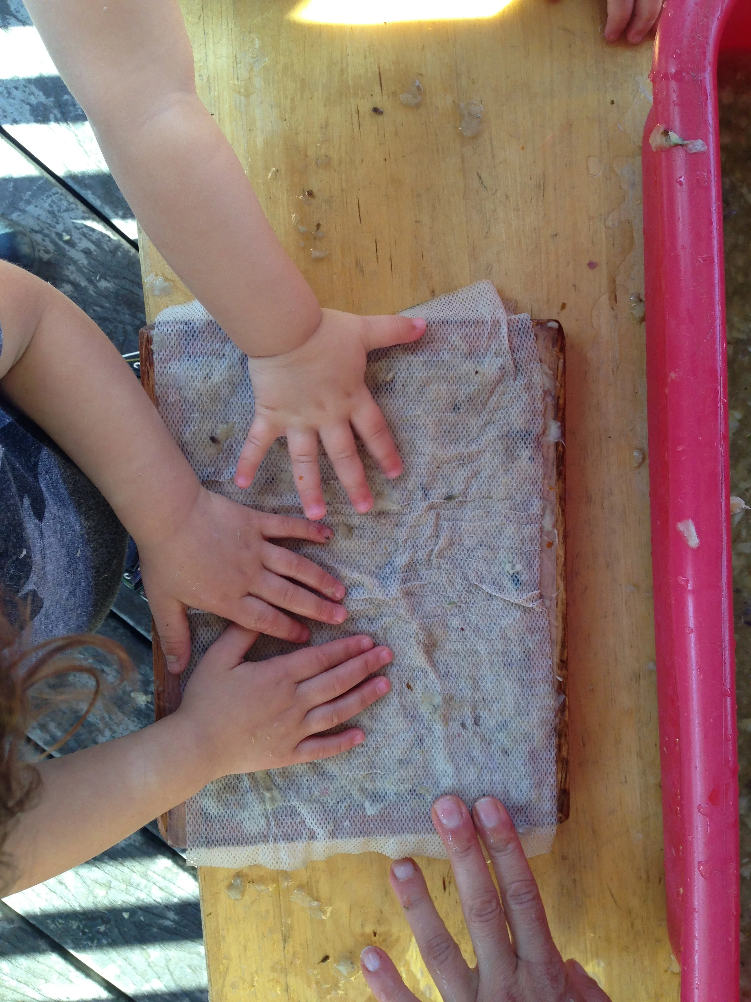 Blossom - Curriculum and Enrichment