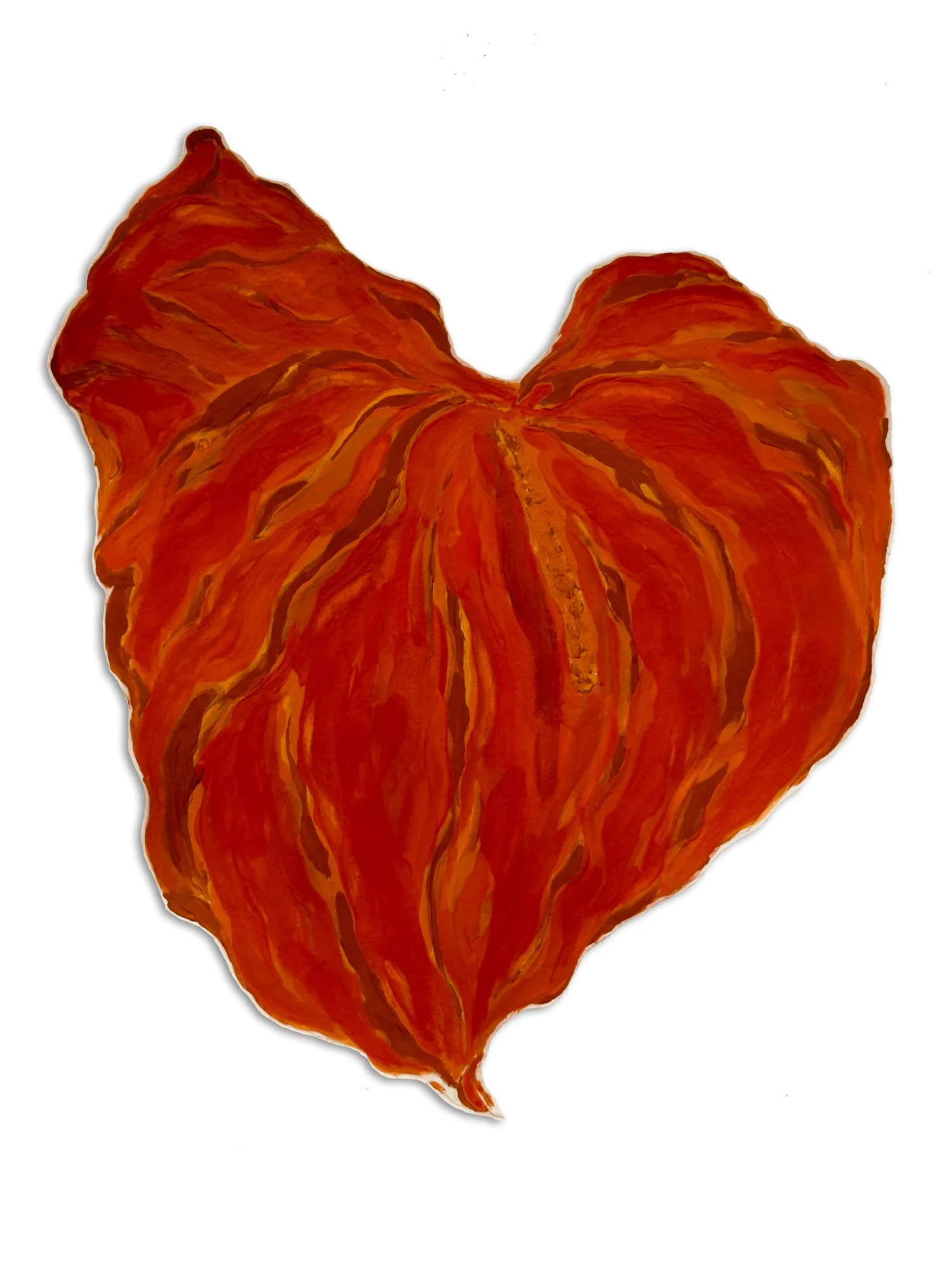Untitled (Anthurium)