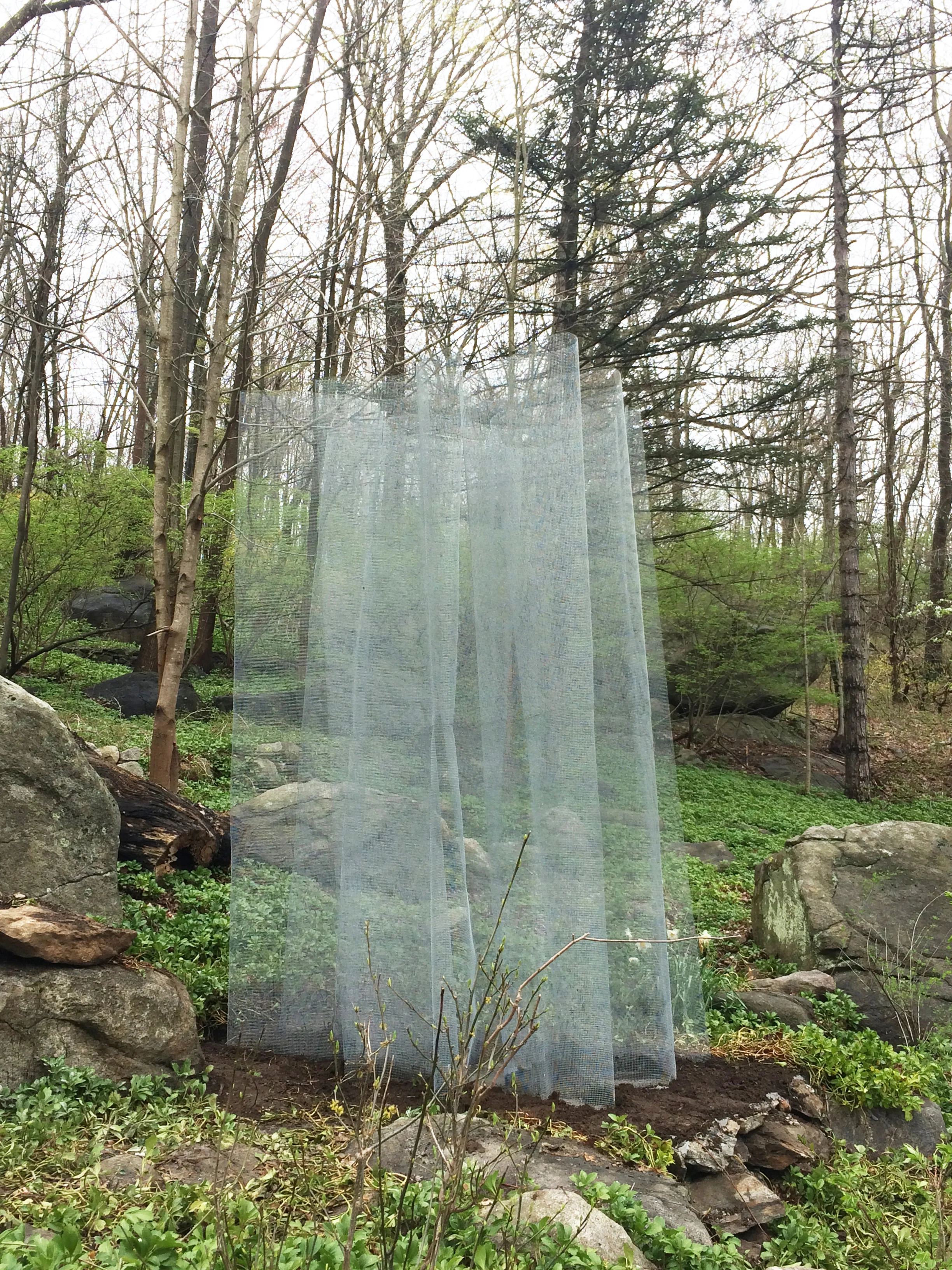 Dolores FurtadoYushan Spirito | 玉山精神, 2017