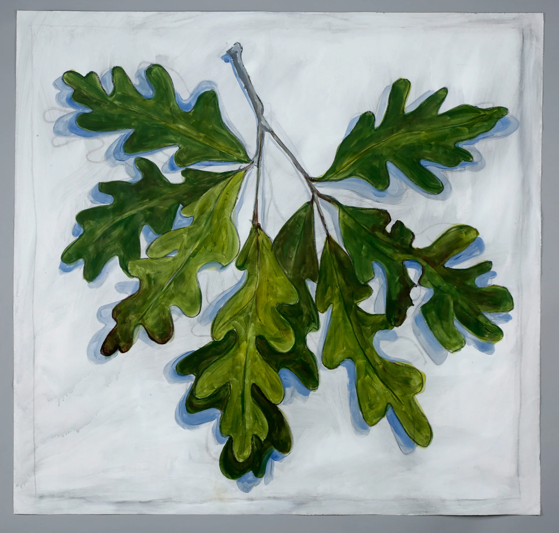 oak leaf cluster.jpg