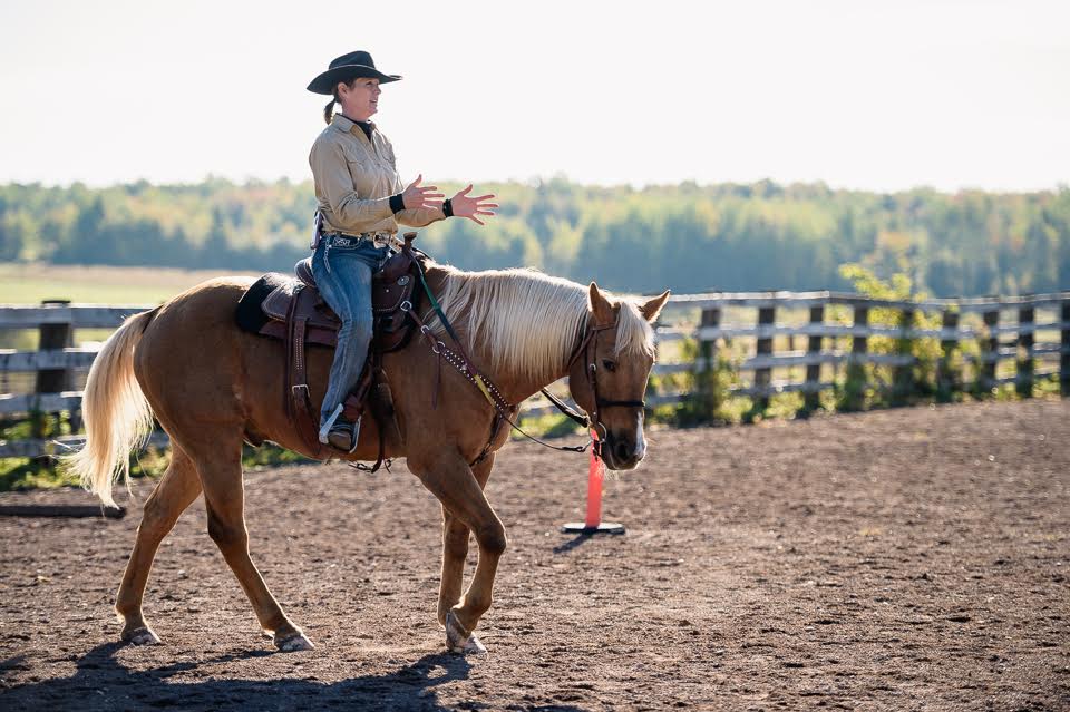 Terry giving a demonstration on her horse Skip. She is riding without reins and directing him through body language. Skip is relaxed. attentive and motivated. To see more about Terry's philosophy and experience please see Page for OUR TEAM