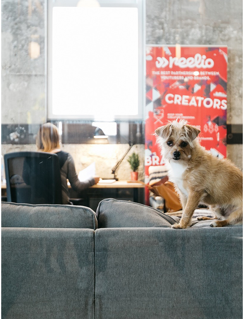 SSS-WeWork-59.jpg