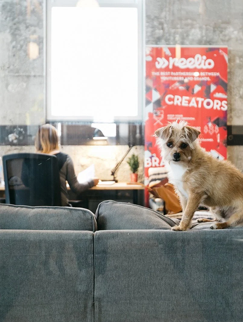 SSS-WeWork-32 .jpg