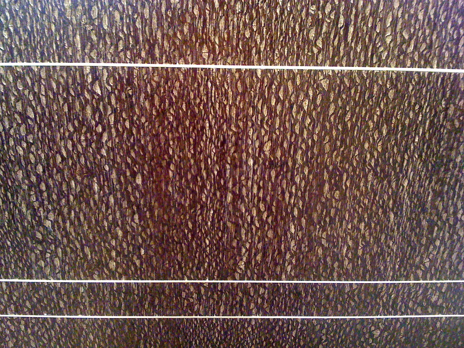 SSS-Materiality-26 .webp