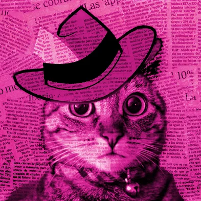 SISE News Cat is on the job!