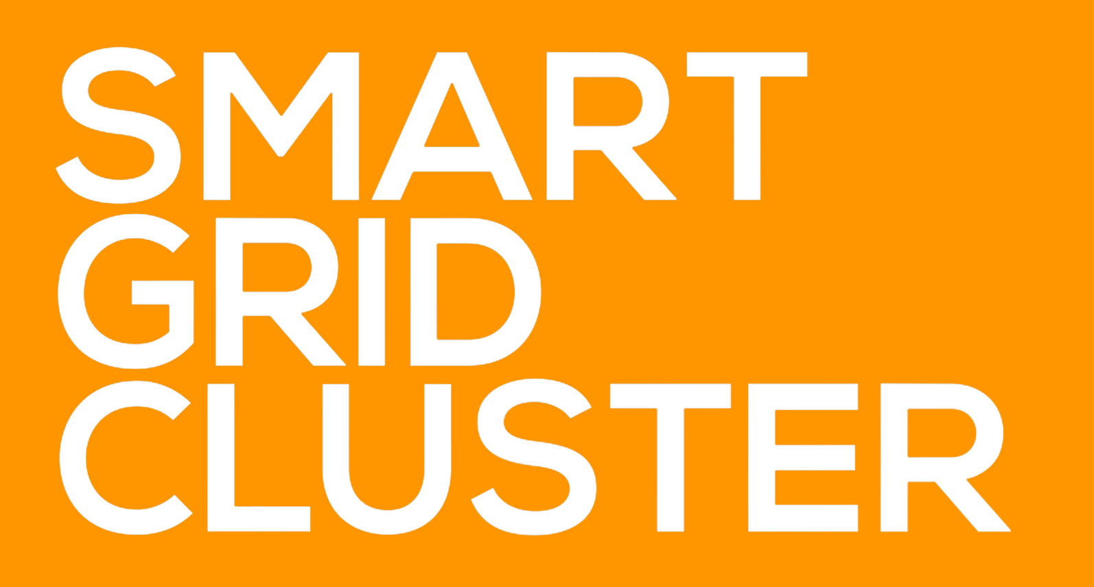 Smart Grid Cluster