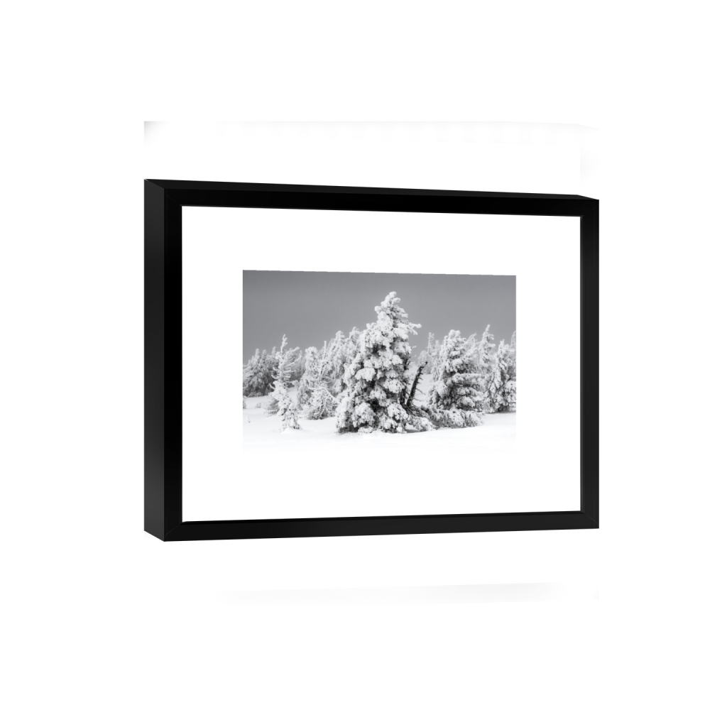 smartframe_rectangle2_3_0_10_4369_2912_0_false_ffffff_0_0.png