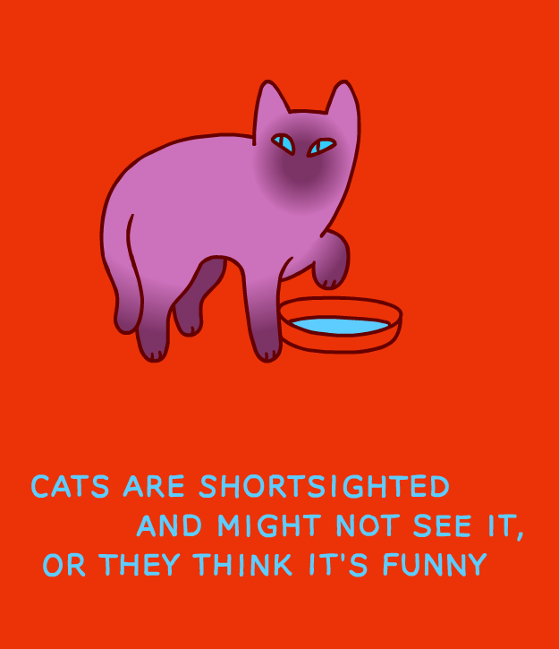 waterbowl.gif