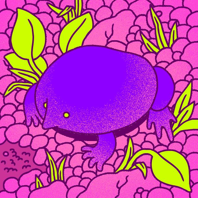 purplefrog.gif