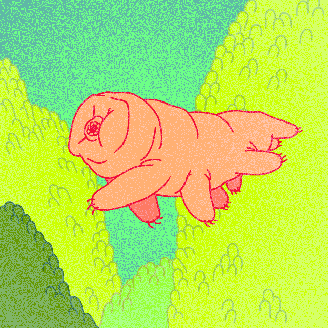 tardigrade.gif