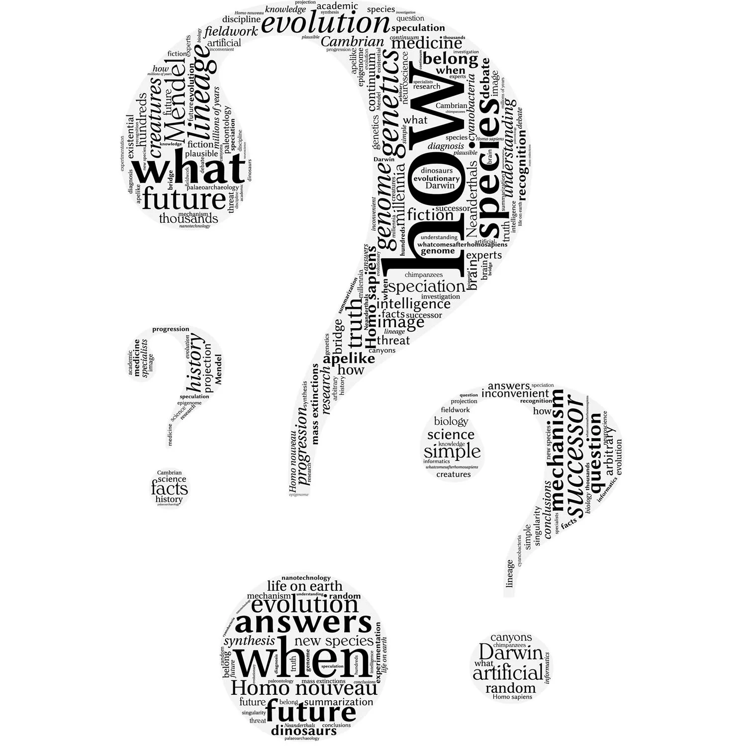 The Questions.jpg