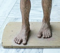  Lucy feet - "human-like"