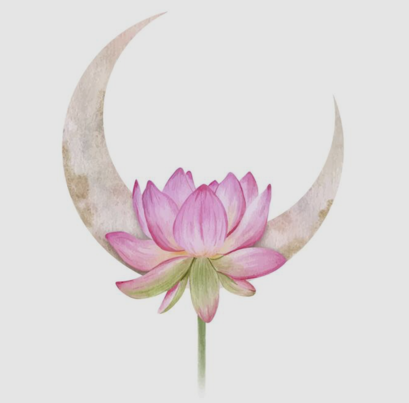 Screenshot 2026-01-15 at 5.33.55 PM.png