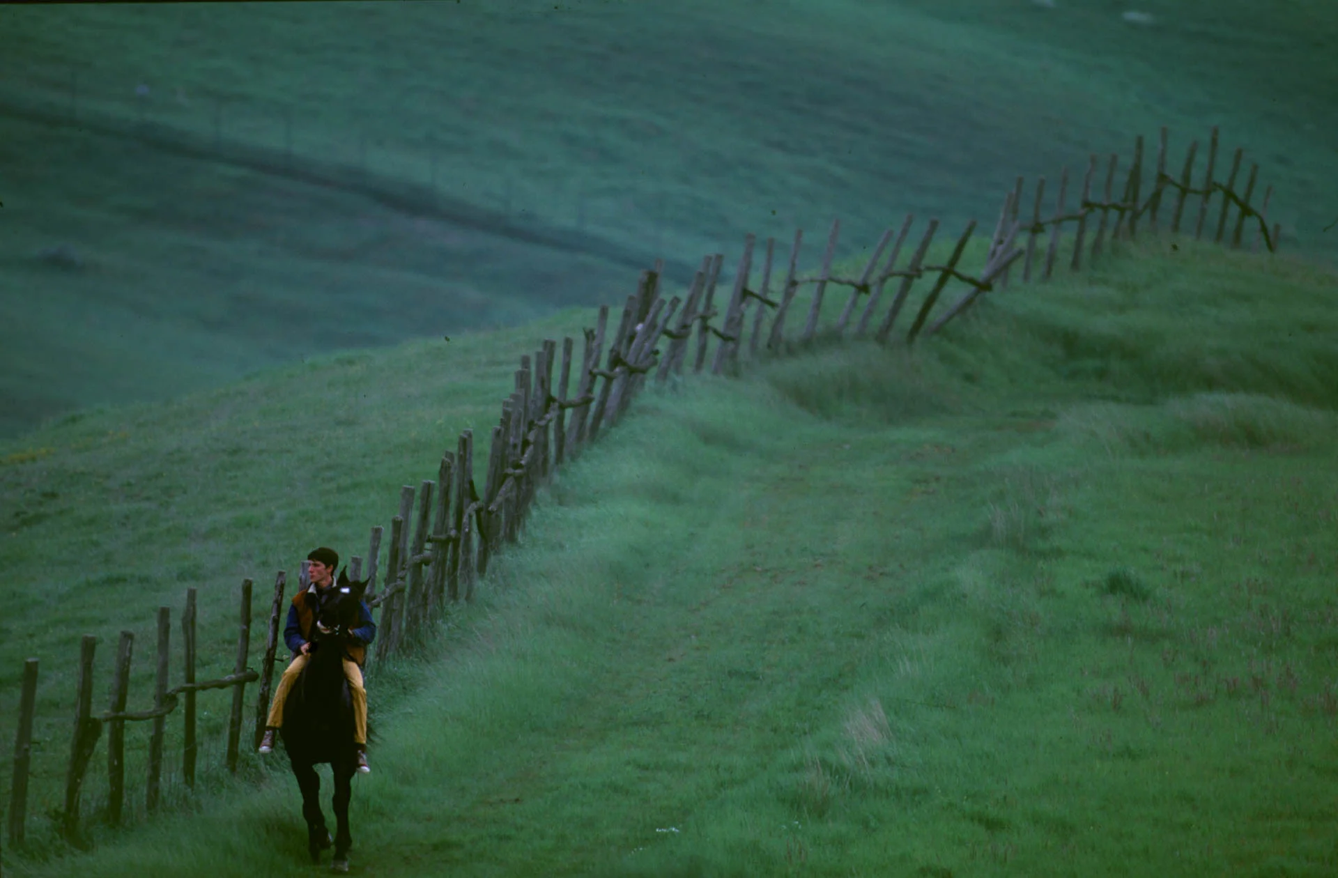 Siena, 1 July 1991 Francesco Ticci - known as "Tredici" - is one of the few jockeys to be born in Siena. He spends hour after hour riding in the hills around the lonely village of Asciano. 
