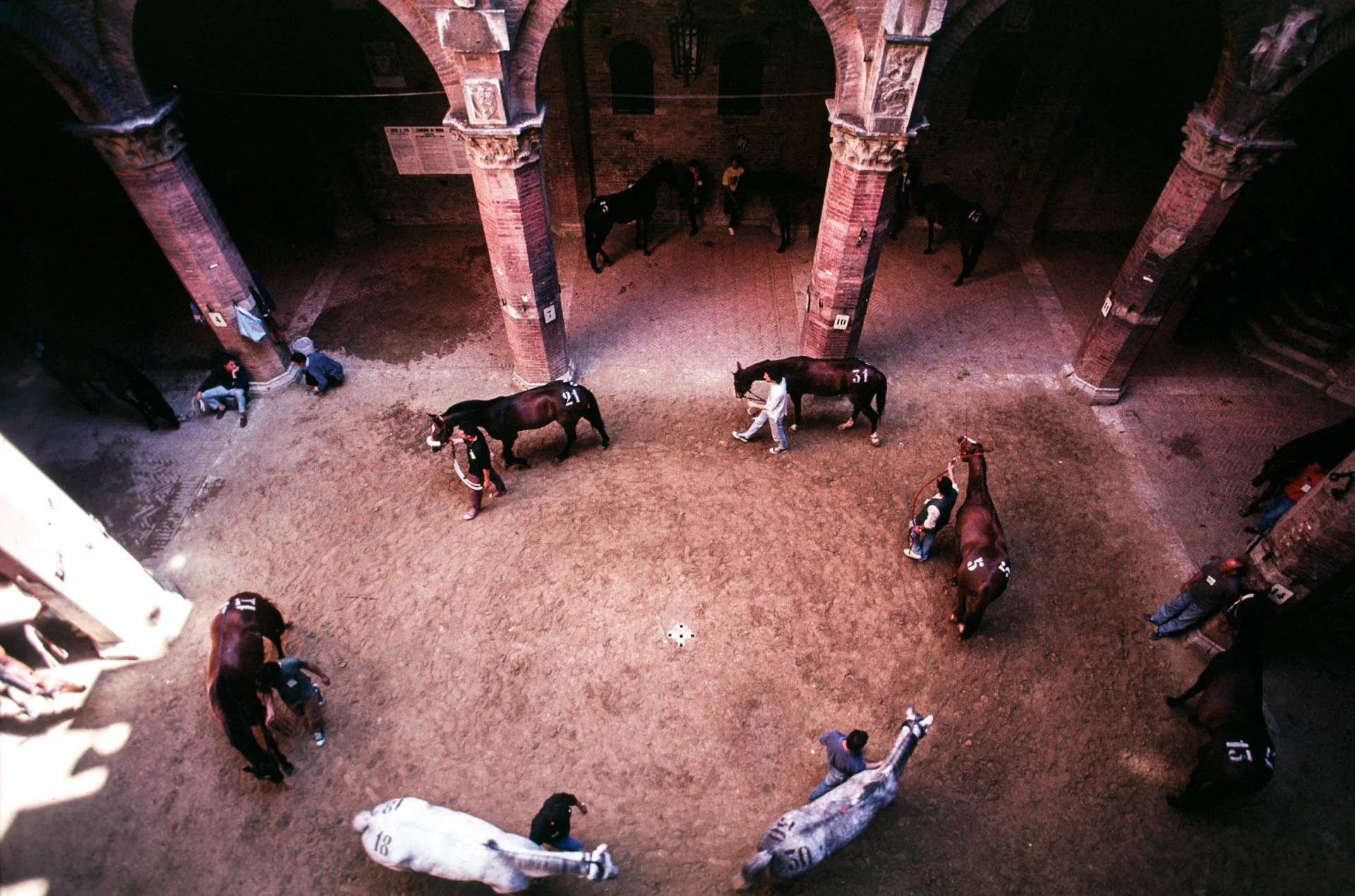 Siena, 1 July 1991 Few minutes before the start of the Palio. 